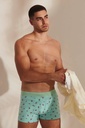 BOXER ALG Y LYCRA "RAYITOS" 