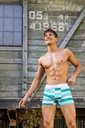 BOXER ALGODÓN & LYCRA RAYADO