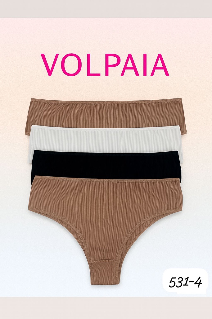 [VOL531-4] PACK X3 CULOTTE CLASICO DE MICROFIBRA MORLEY
