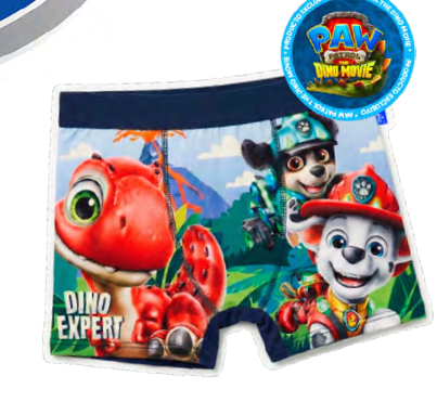 VER. BOXER DE MODAL SUBLIMADO "PAW PATROL" INV. (2)